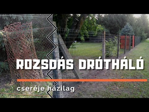 Stratégia kezdő bináris lehetőségek