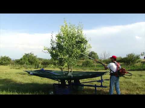 Yaygımatik Genel Tanıtım