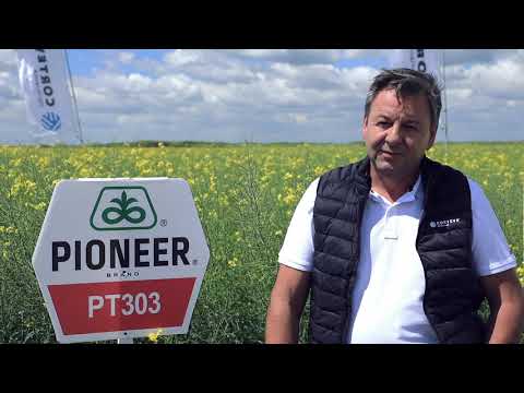 Testimonial rapita PT303 - dl. Tarziu Vasile