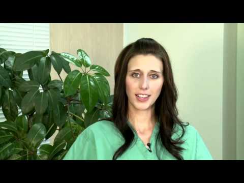 The 15th Week of Pregnancy