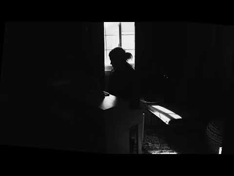 Fight or Flight by Shelly Fraley (Official Lyric Video)