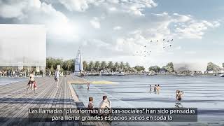 Fluid Buffer in Argentina – Project Video