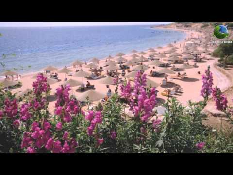 Domina Coral Bay Aquamarine Pool 5*