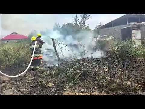 FHN Mətbuat xidmətinin məlumatı (video)