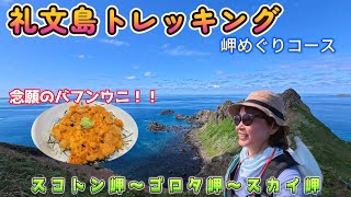 [Rebun Island Trail] Take on the challenge of a cape-hopping course! Visit Cape Sukoton, Cape Gor...