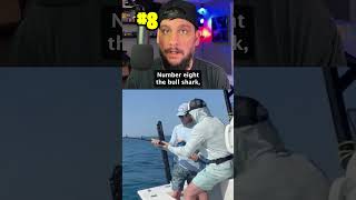 Download lagu TOP 10 Largest Sharks Ever Caught with a Fishing Pole 👀 #fishing #shark mp3