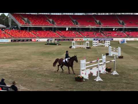 Quintago 1 Grand Prix Sydney Royal