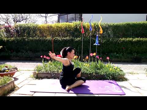 Ardha Matsyendrasana - Der halbe Drehsitz