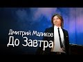 Дмитрий Маликов - До Завтра (Концерт в рамках проекта «Ночь музыки») 