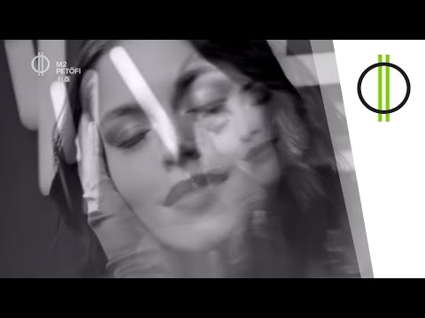 BŰNÖS SZERELEM – KÖZÖS DALT KÉSZÍTETT KÖKÉNY ATTILA ÉS RAKONCZAI VIKTOR