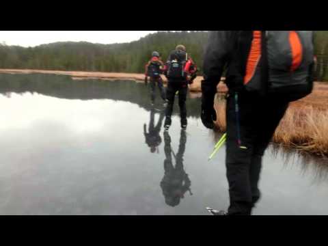 Nedre Flytjärn 27/11 -15