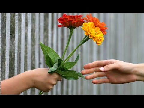 Cool-Tiger feat. G.A-Vibe (tout sam swete'w)