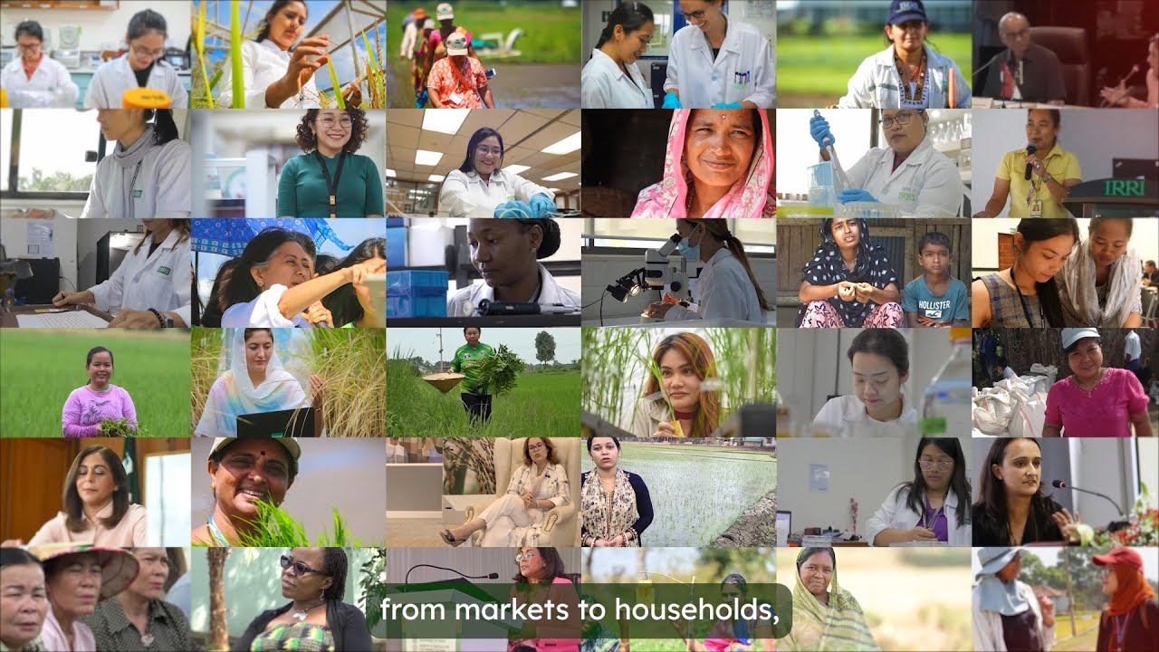 Across the rice-value chain, women are pioneers - International Women's Day 2025