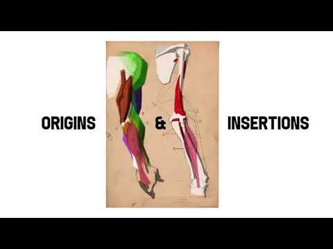 How to Study From the Bridgman Book and More