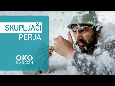 Oko magazin: Skupljači perja