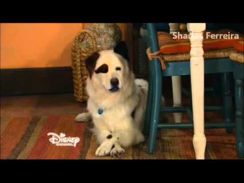 Dog With A Blog Stan's Secret Is Out Series Finale | Bennett and Ellen