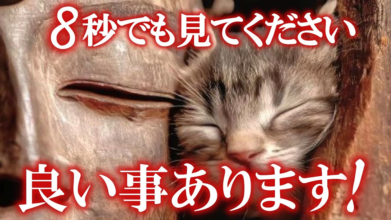 ※緊急※逃がしたら二度と来ません！見れた方から今までかなわながった願いがどんどん叶っていきます 今、掴んでください 腰を抜かすほどの強運が授かります 怖いほど良い事が起こる魔法の動画です