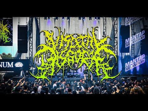 Visceral Disgorge - Tour Chronicles Vol. 2 (Teaser)