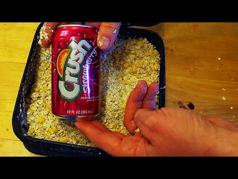 8 Carp bait recipes - Homemade carp bait - How to catch carp