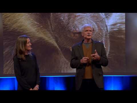 Brainwash Festival, Amsterdam