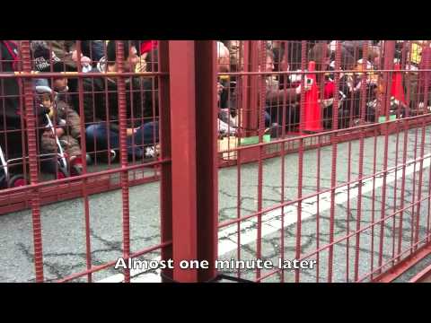 Wild Boar Race Japan