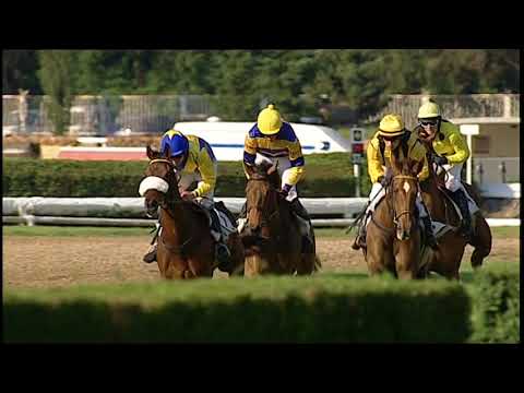 PE, 26. 5. 2018, 7. dostih - Cena Dne dopravy ČR/Dopravní festival 2018 - Pocta Janu Kašparovi