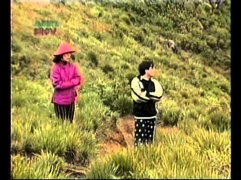 Zona Zen video