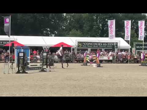 Antrax d’Amas Z 2012 (Asca Z x Quinar) 3th place 1.35m final