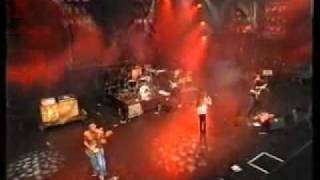 ALANIS MORISSETTE - YOU LEARN (Live  Pinkpop : Hollande 1996)