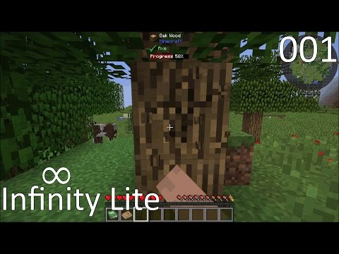 Minecraft FTB Infinity Lite - The Start of Something New! - S01E001