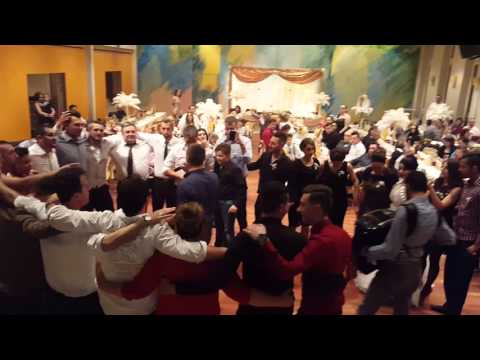 Elvin Čavkic-Ely&Otac uživo