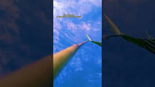 Download lagu dichet dikira lagi gabut,ga dichet dikira sombong | story wa 30 detik sad #story wa #viraltiktok2021 mp3