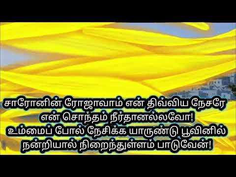 சாரோனின்‌ ரோஜாவாம்‌ என்‌ திவ்விய நேசரே...LYRIC NUMBER: 492 TPM Song