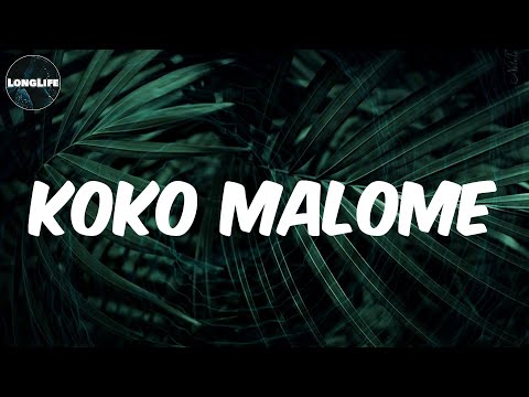 Felo Le Tee - (Lyrics) Koko Malome (feat. Guluva & Visca)