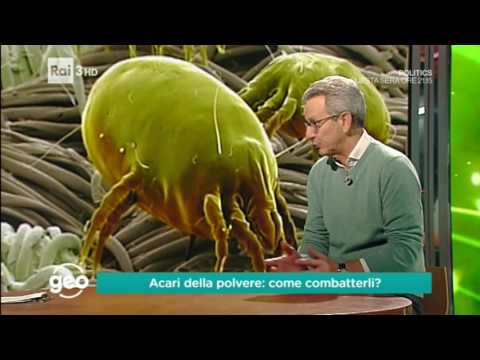 Su che lo shampoo principale usare la psoriasi Sale e cura di eczema