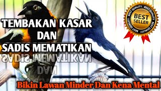 Download lagu MASTERAN KACER TEMBAKAN KASAR DAN MEMATIKAN | Full 1 Jam Tanpa Iklan mp3 Download lagu MASTERAN KACER TEMBAKAN KASAR DAN MEMATIKAN | Full 1 Jam Tanpa Iklan mp3