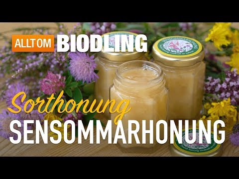 Sensommarhonung & Hösthonung - Sorthonung - Honung