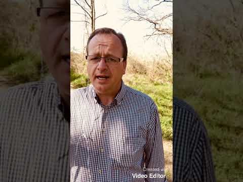 Nicht Fisch und nicht Fleisch