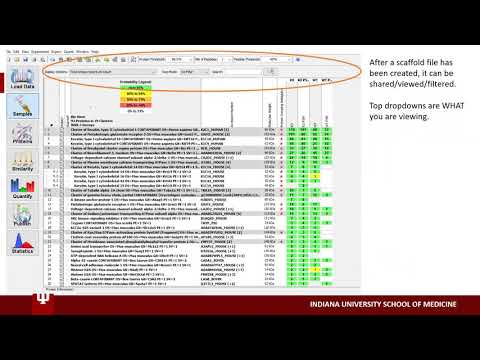 B4B: Module 9 - Scaffold Data Analysis and Visualization