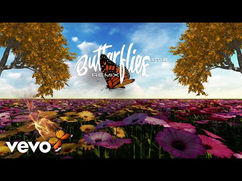 Video thumbnail for Butterflies Pt. 2 (Wale Remix)