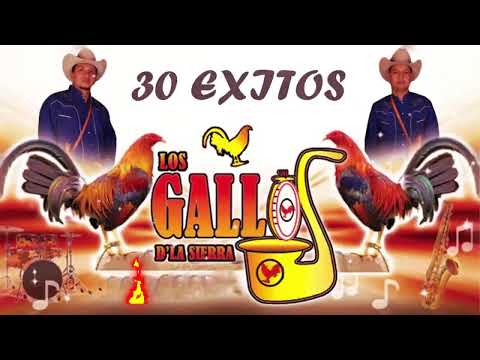Los Gallos De La Sierra Las Mejor Exitos ~ Corridos y Rancheras Mix