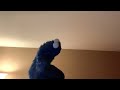 BEAT THE TIME With Cookie Monster