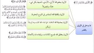 صورة الفقه الأكبر (17) || مما يدخل في الإيمان بالقدر || أ.د.أحمد القاضي