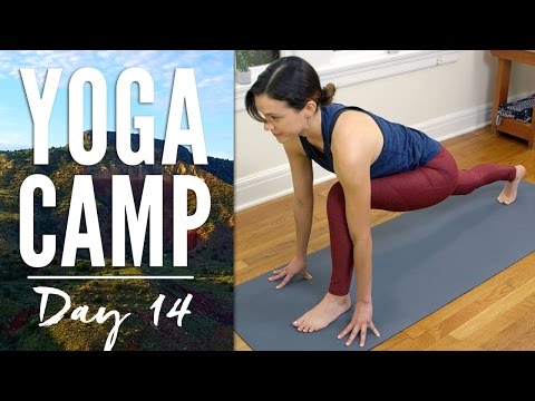 Dedicate Day 23 Joyful