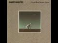 Larry carlton - carrying you