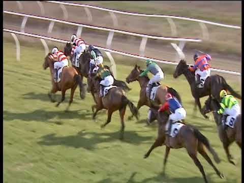 Galoppo 19/01/2019 - 4ª corsa