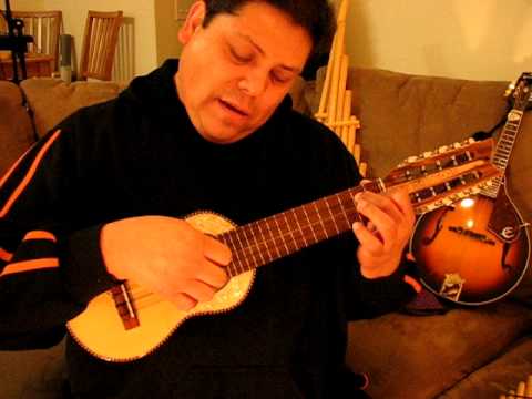 JIYAWAY SAMBITA-DAVID ARANCIBIA-CHARANGO,RITMO Y OTRAS COSITAS 006.AVI
