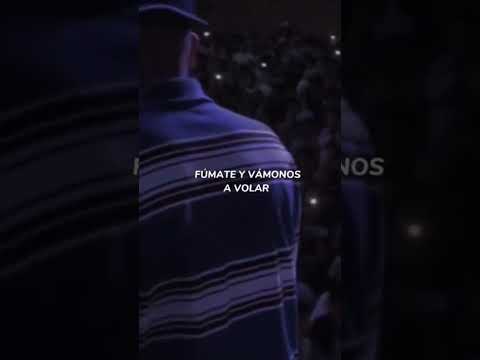 Santa Grifa como me encula esa dama