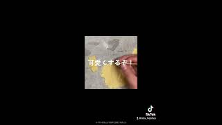 ハイスペックニートによるクッキー作り