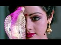 Nagina Sridevi Transformation Scene